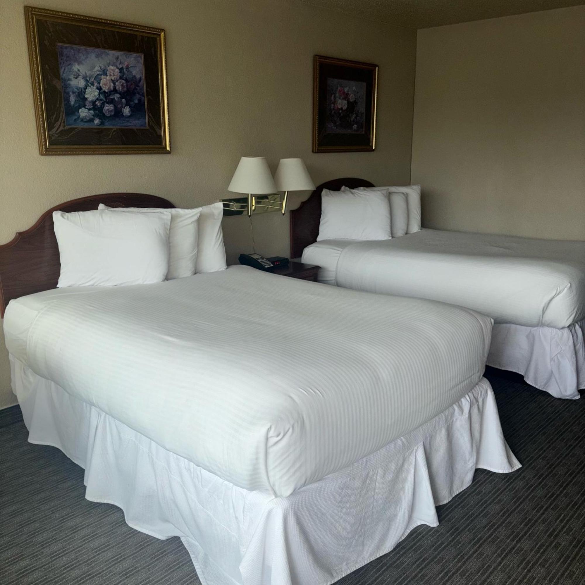 Unique Suites Hotel Charleston Luaran gambar