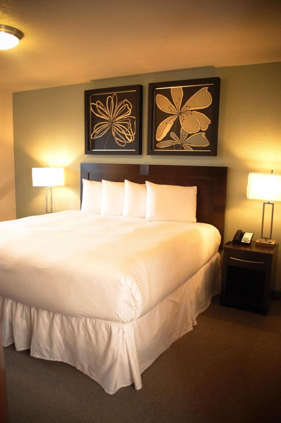 Unique Suites Hotel Charleston Luaran gambar
